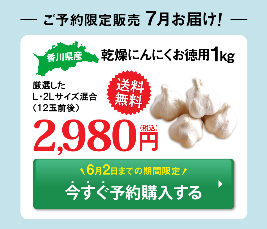 香川県産乾燥ニンニク9kg　野菜